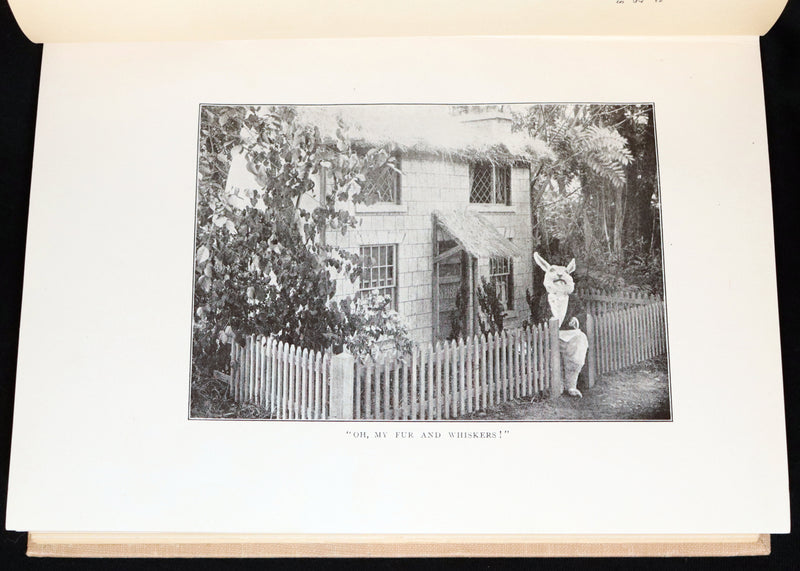 1914 Scarce in Dust Jacket - Alice in Wonderland & Looking-Glass, Photoplay