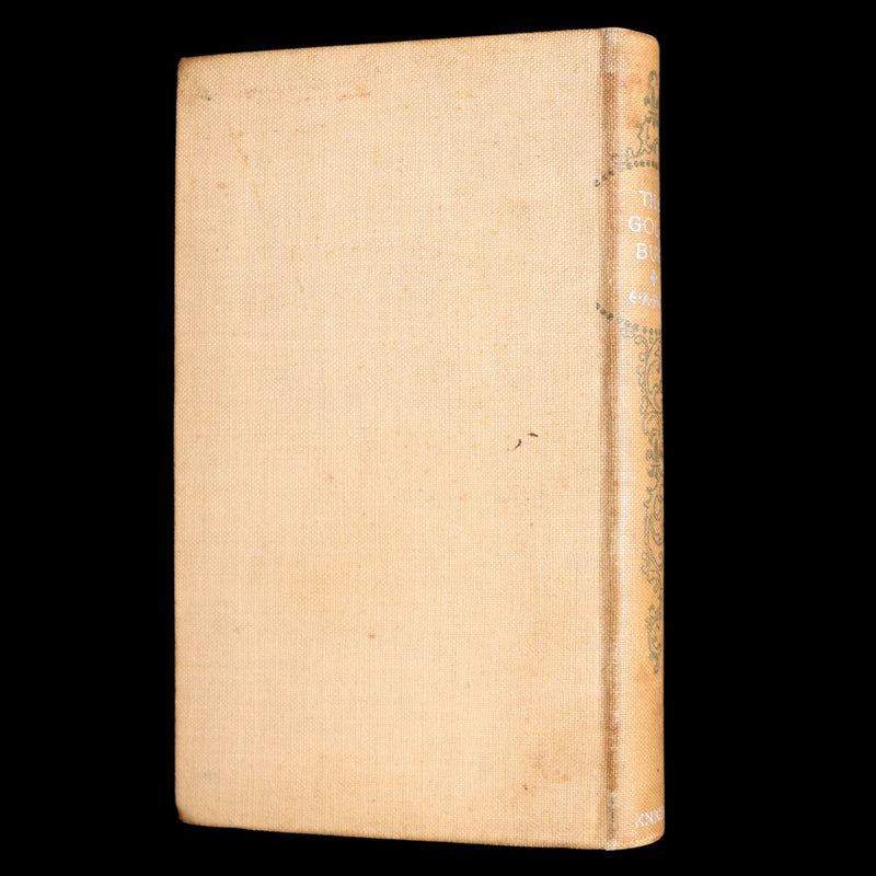 1893 Rare Book - The Gold Bug by Edgar Allan Poe, Illustrated by Mittis