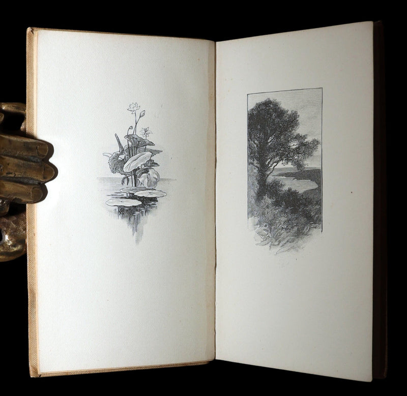 1893 Rare Book - The Gold Bug by Edgar Allan Poe, Illustrated by Mittis