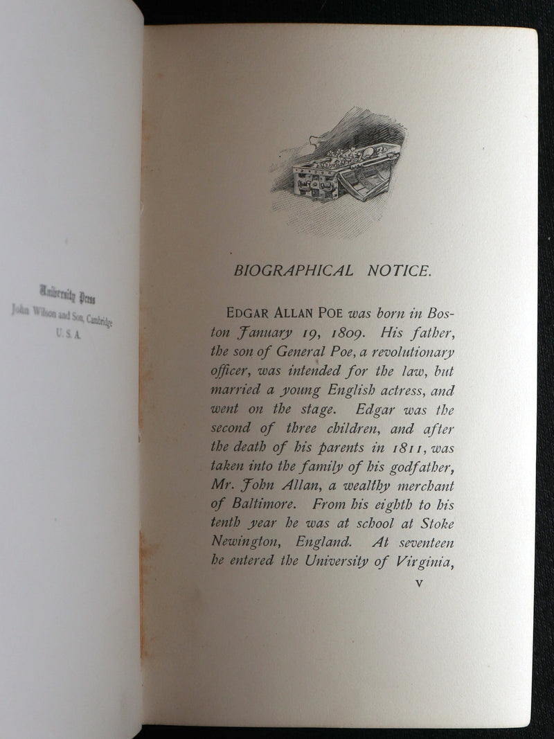 1893 Rare Book - The Gold Bug by Edgar Allan Poe, Illustrated by Mittis