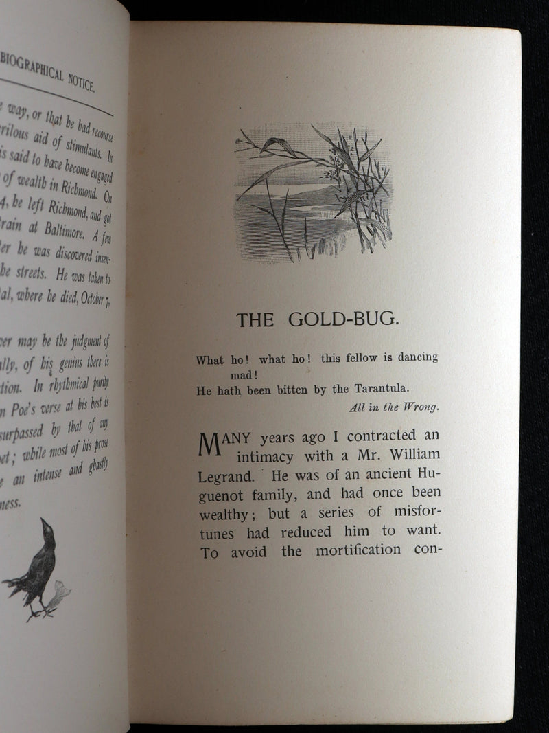 1893 Rare Book - The Gold Bug by Edgar Allan Poe, Illustrated by Mittis