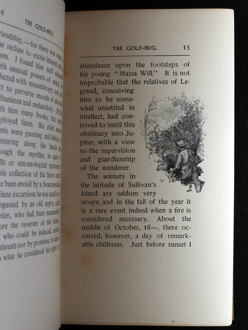 1893 Rare Book - The Gold Bug by Edgar Allan Poe, Illustrated by Mittis