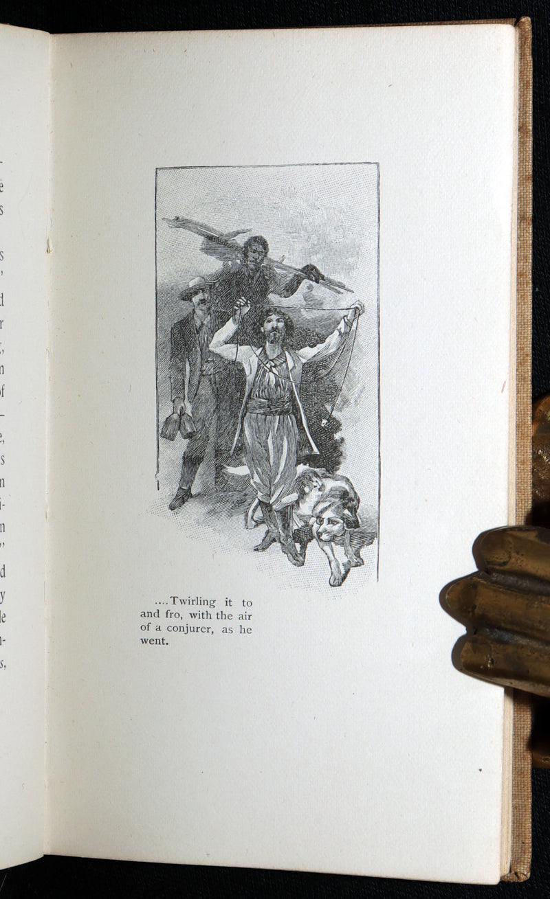 1893 Rare Book - The Gold Bug by Edgar Allan Poe, Illustrated by Mittis