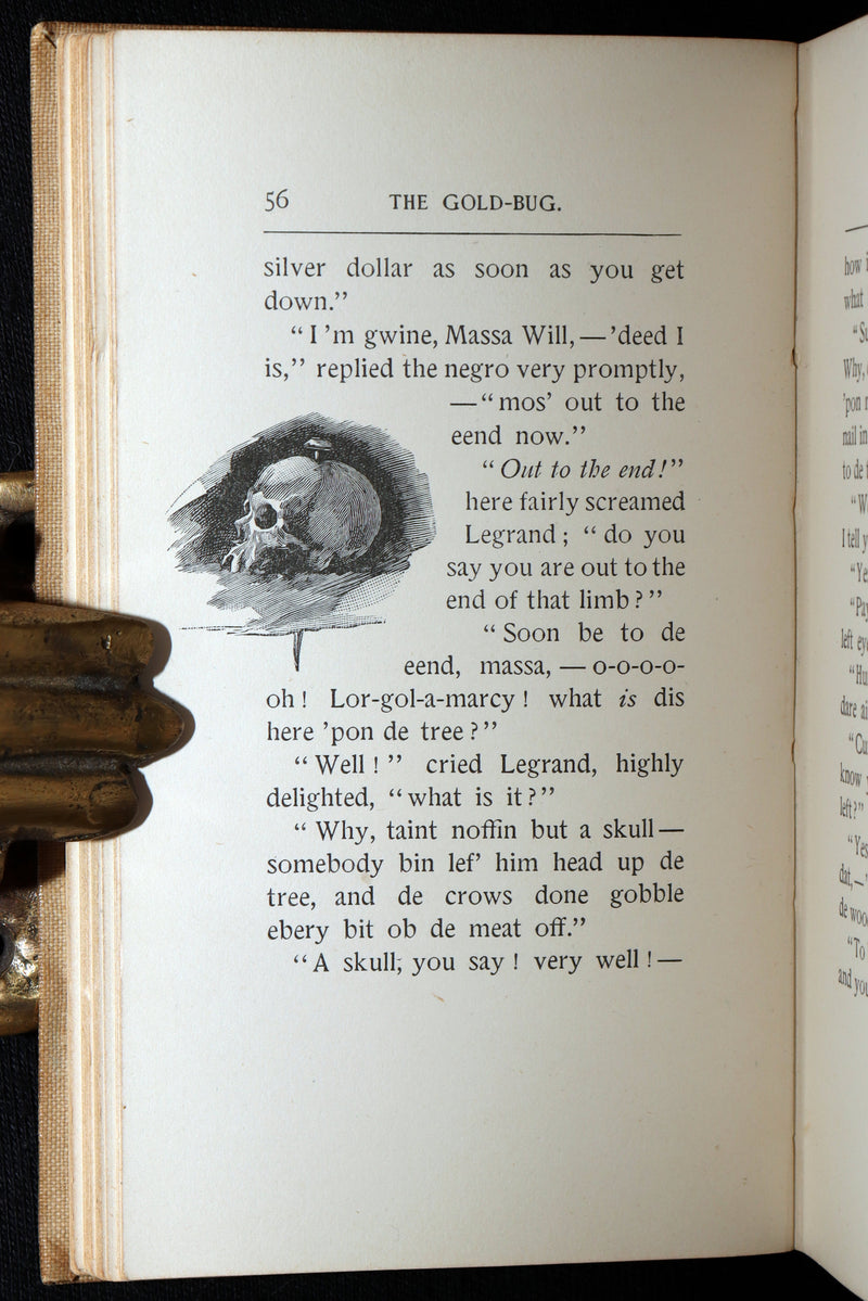 1893 Rare Book - The Gold Bug by Edgar Allan Poe, Illustrated by Mittis
