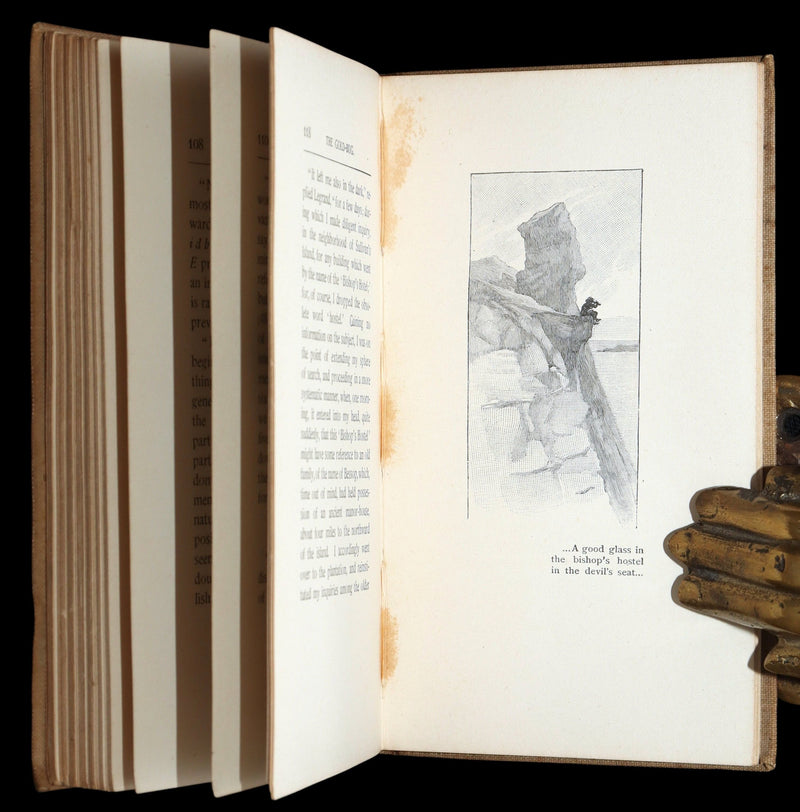 1893 Rare Book - The Gold Bug by Edgar Allan Poe, Illustrated by Mittis
