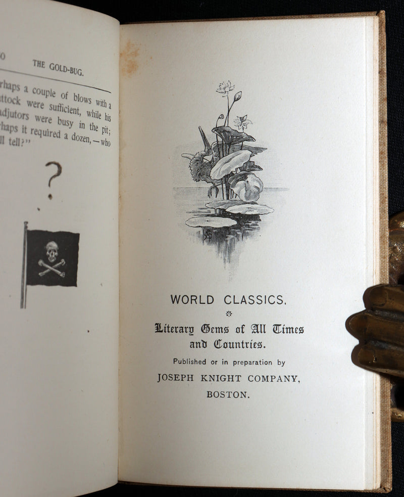 1893 Rare Book - The Gold Bug by Edgar Allan Poe, Illustrated by Mittis