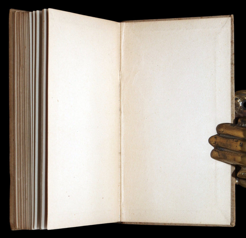 1893 Rare Book - The Gold Bug by Edgar Allan Poe, Illustrated by Mittis
