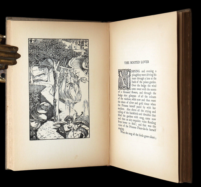 1894 Rare First Edition - A Farm in Fairyland by Laurence Housman, Illustrated