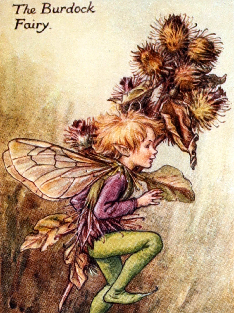 1927 First Edition - Autumn Songs with Music from Flower Fairies of the Autumn