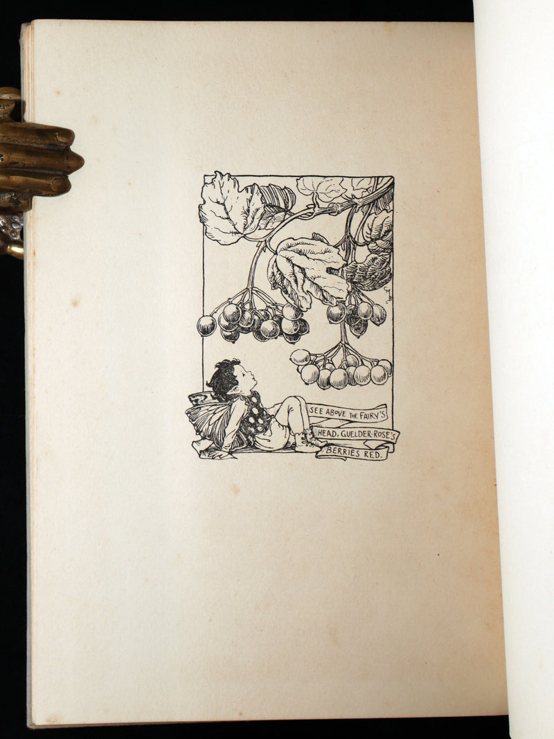 1927 First Edition - Autumn Songs with Music from Flower Fairies of the Autumn