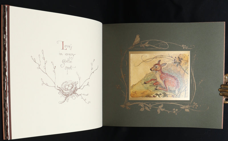 2019 Rare Book - Affairs Of The Heart Peaceable Creatures by Charles van Sandwyk