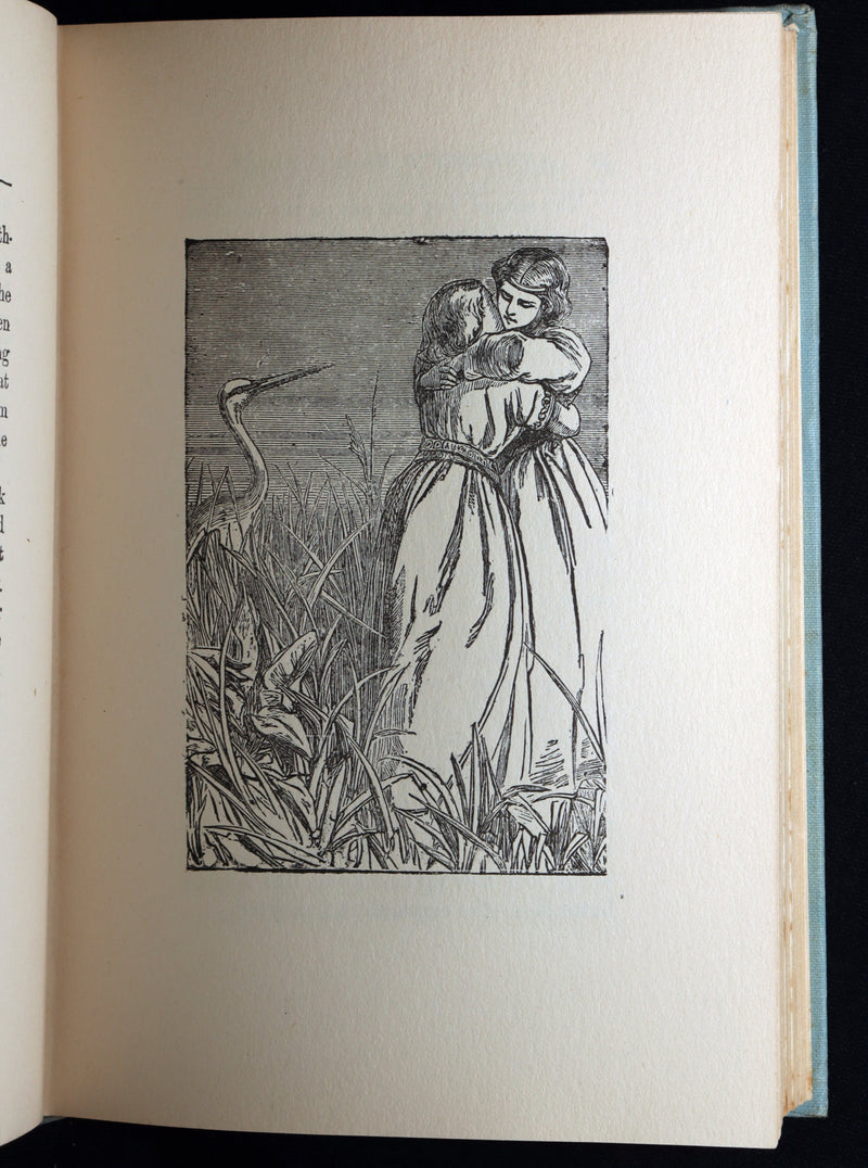 1890 Rare Book - Andersen’s Fairy Tales, Illustrated