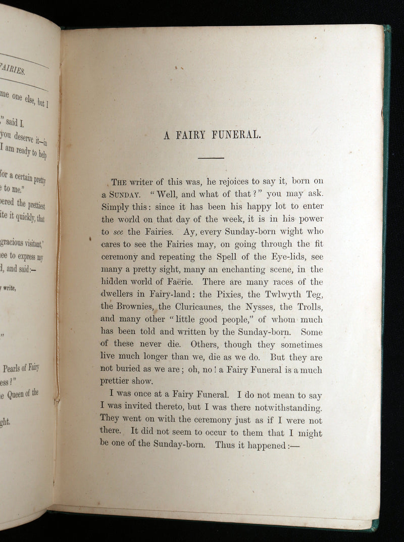 1875 Scarce Victorian First Edition - Castle Damouray, A Glimpse of Fairy Land