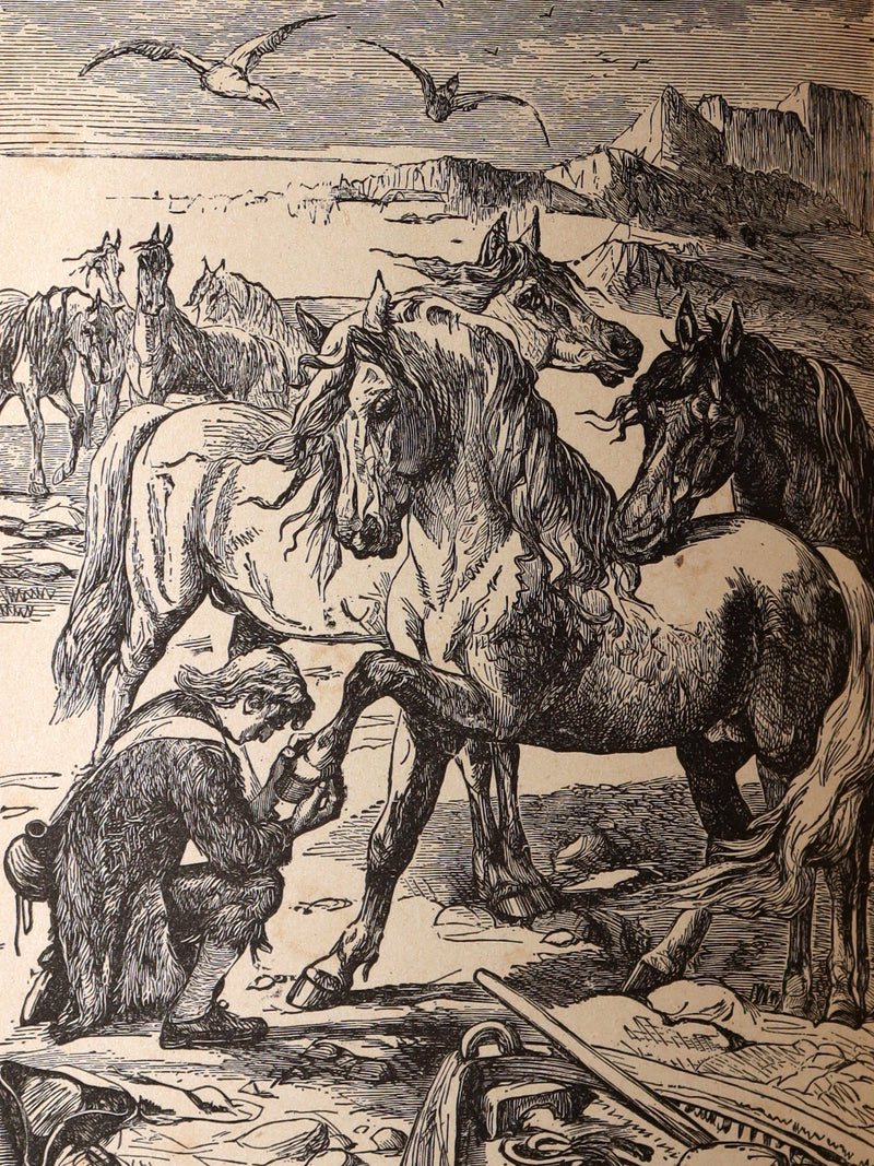 1880 Rare Victorian Book - Gulliver's Travels and Baron Munchausen, Illustrated