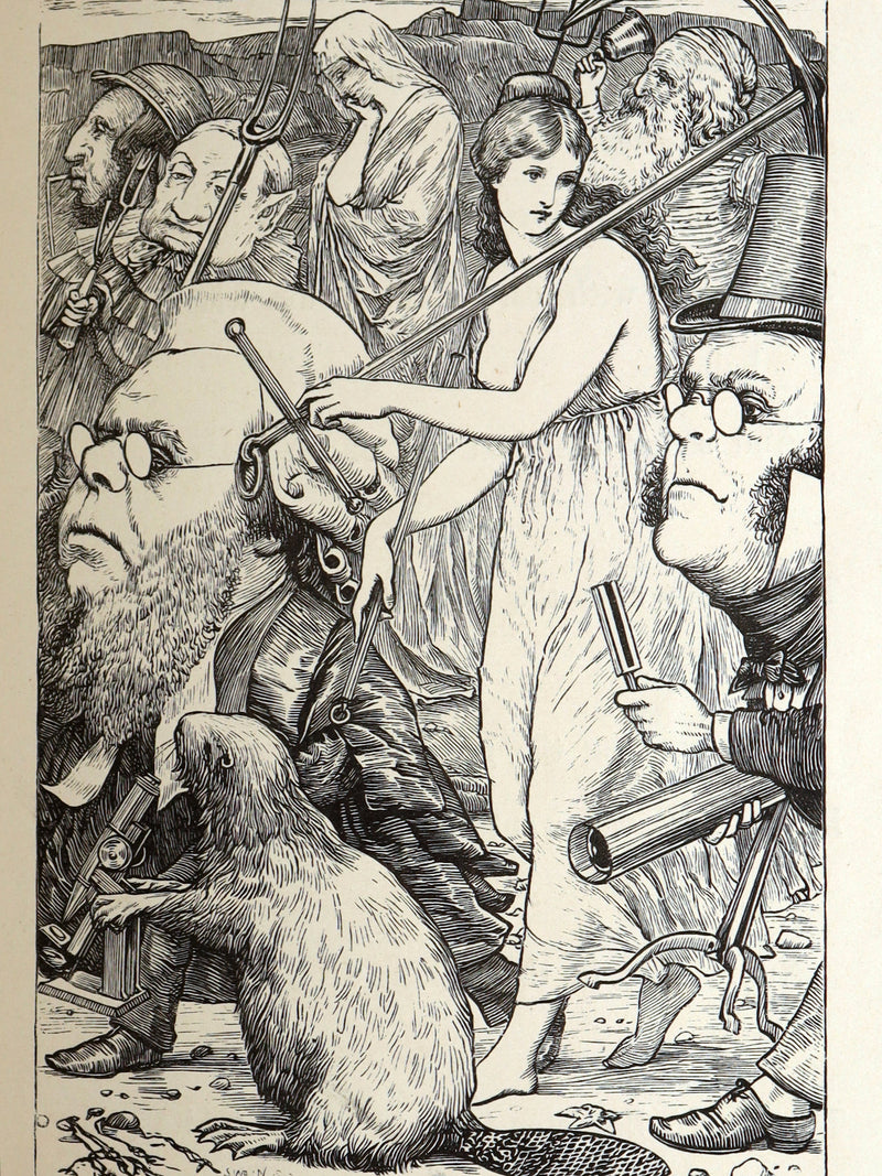 1876 Rare First Edition - The Hunting of the Snark by Lewis Carroll, Illustrated