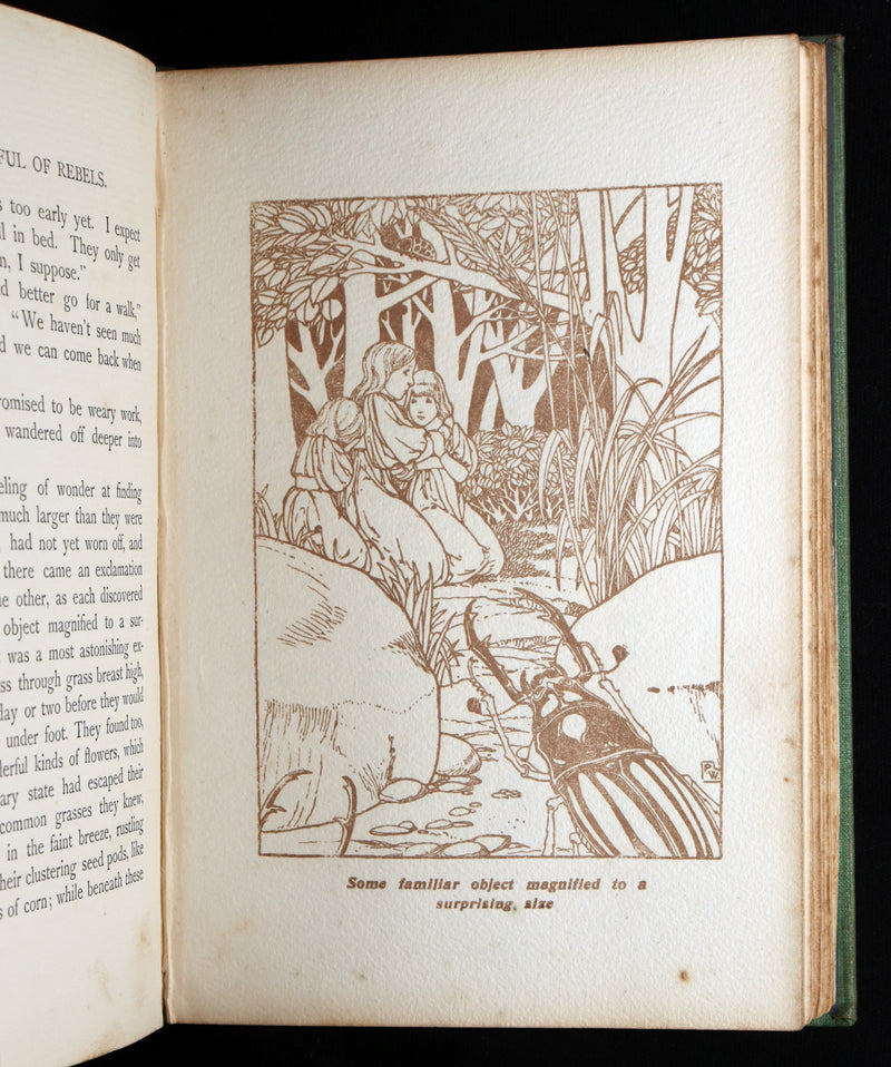 1897 Scarce Victorian First Edition - A Houseful of Rebels in Fairyland