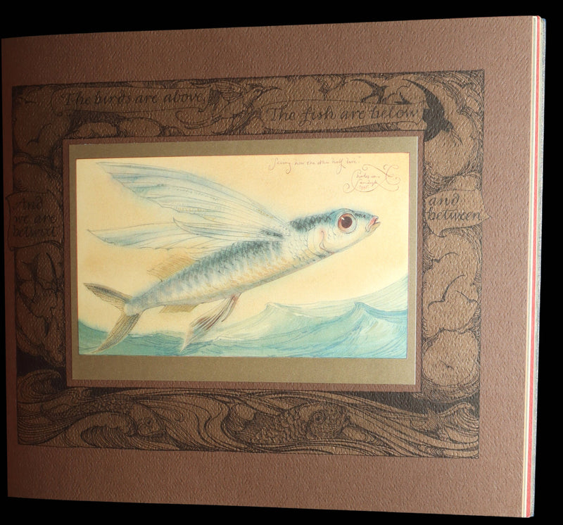 2005 Charles van Sandwyk First Edition - Sketches from the Dream Island of Birds