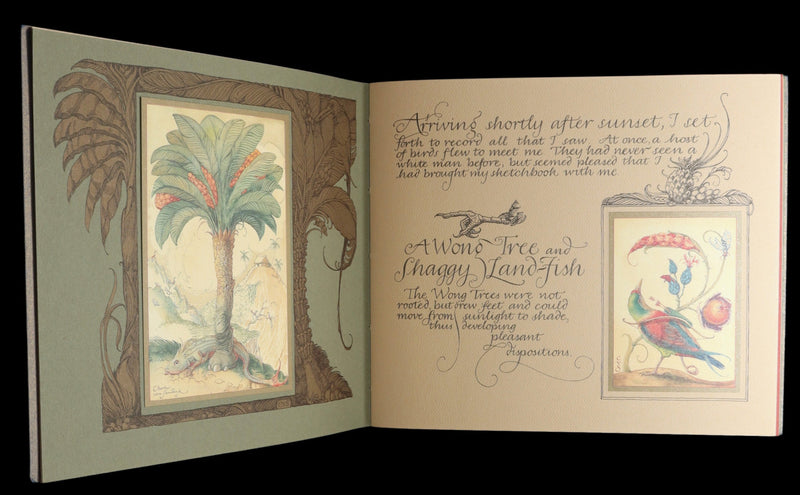 2005 Charles van Sandwyk First Edition - Sketches from the Dream Island of Birds