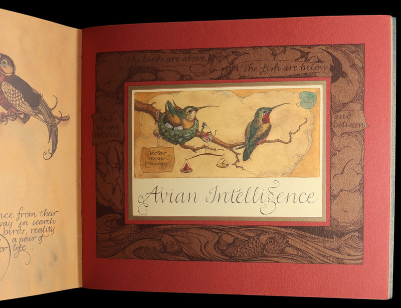 2005 Charles van Sandwyk First Edition - Sketches from the Dream Island of Birds