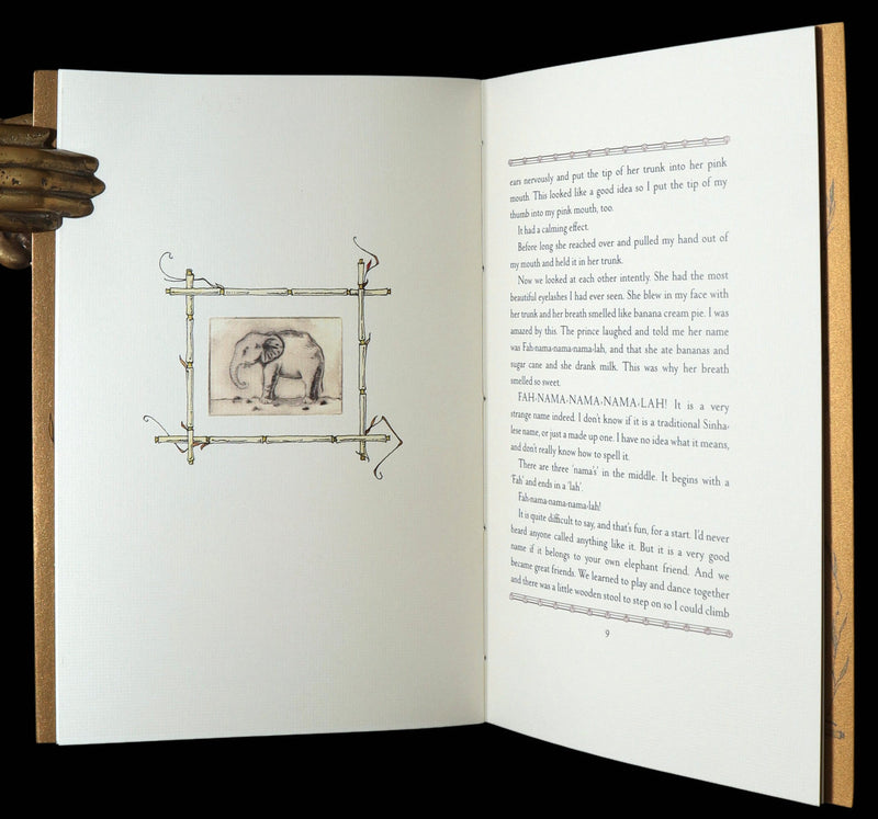 2025 Rare Book by van Sandwyk - Fah-nama-nama-nama-lah, A Tale of One Elephant
