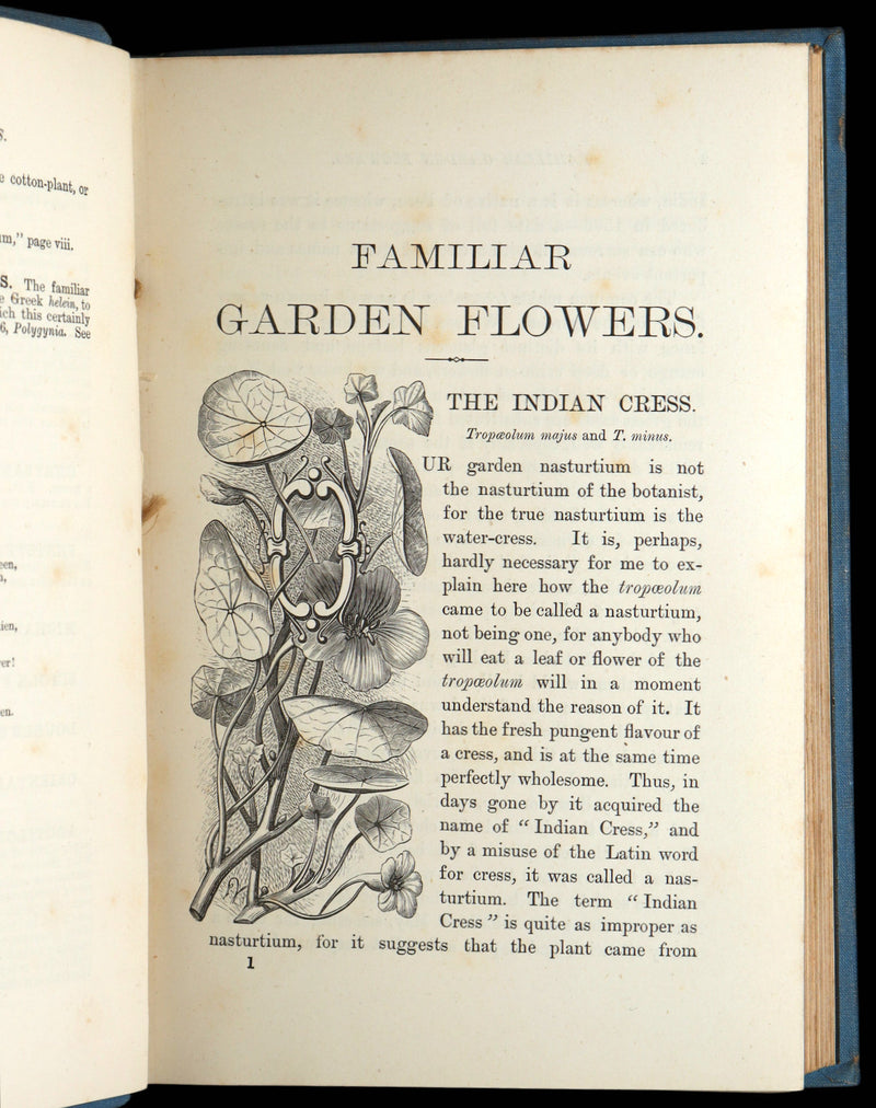 1890 Rare Book - Familiar Garden Flowers Illustrated by F. Edward Hulme