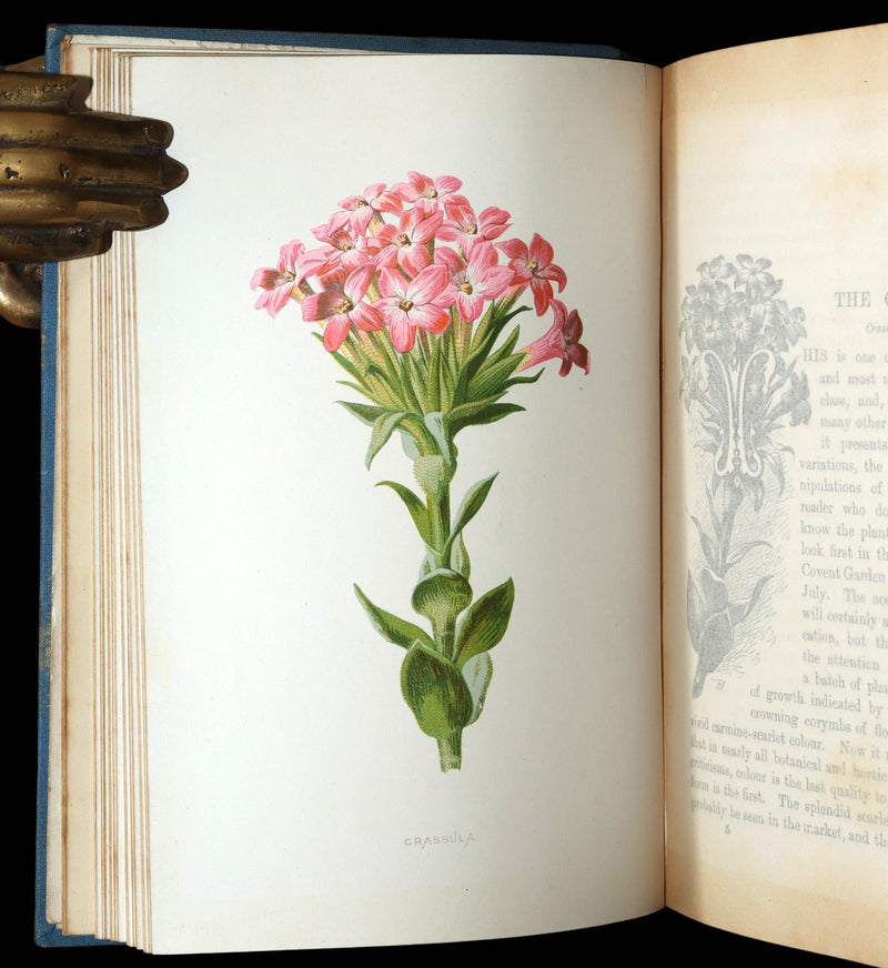 1890 Rare Book - Familiar Garden Flowers Illustrated by F. Edward Hulme