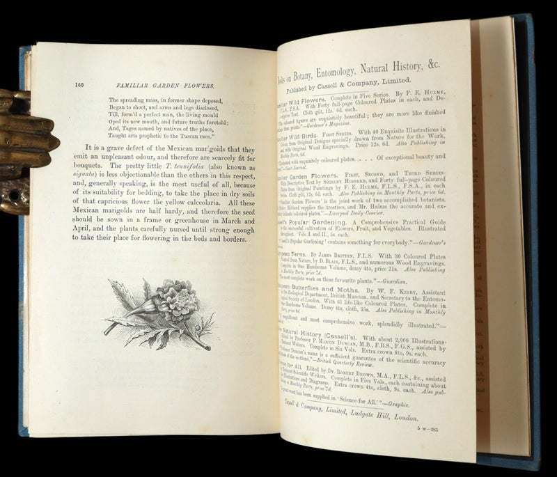 1890 Rare Book - Familiar Garden Flowers Illustrated by F. Edward Hulme