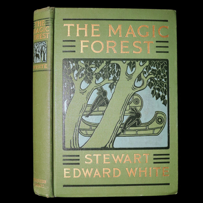 1903 Scarce First Edition - The Magic Forest, A Modern Somnambulist Fairy Story