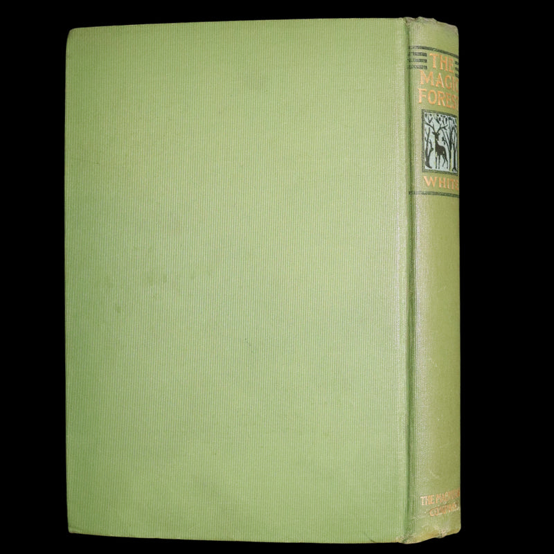 1903 Scarce First Edition - The Magic Forest, A Modern Somnambulist Fairy Story