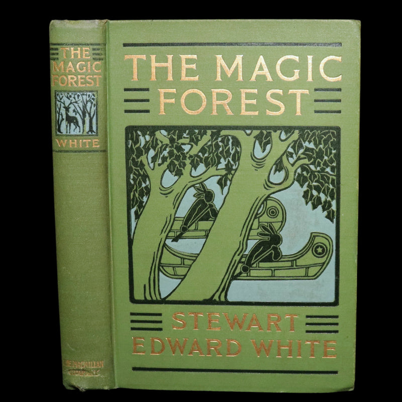 1903 Scarce First Edition - The Magic Forest, A Modern Somnambulist Fairy Story