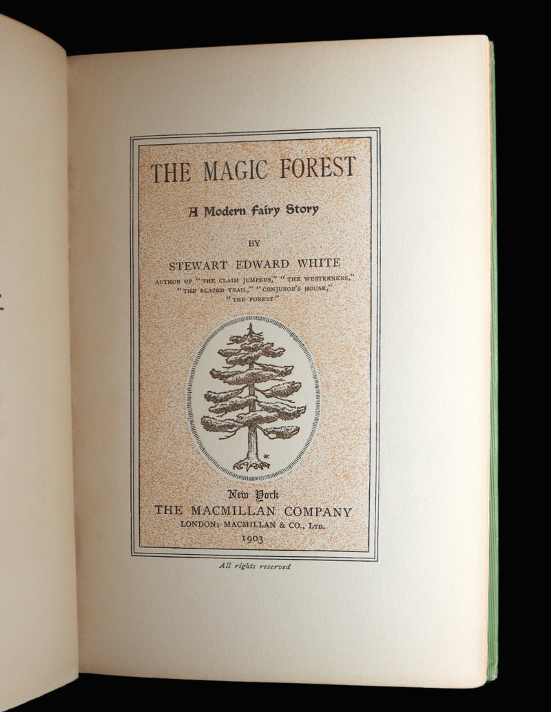 1903 Scarce First Edition - The Magic Forest, A Modern Somnambulist Fairy Story