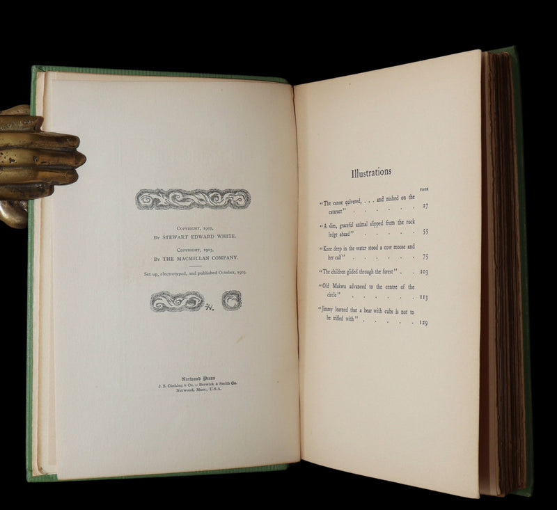 1903 Scarce First Edition - The Magic Forest, A Modern Somnambulist Fairy Story