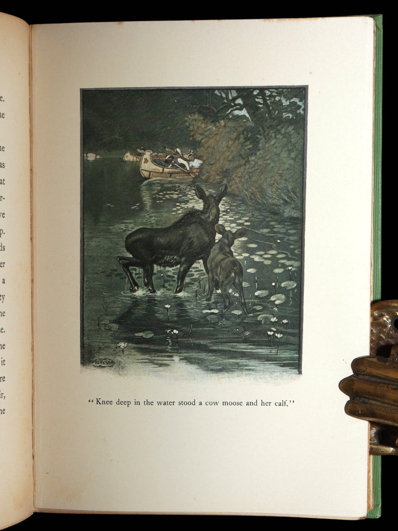1903 Scarce First Edition - The Magic Forest, A Modern Somnambulist Fairy Story
