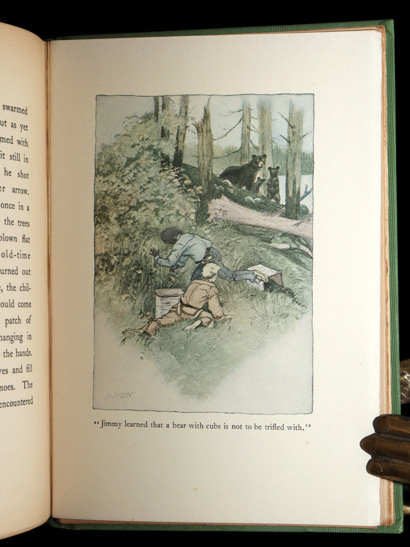 1903 Scarce First Edition - The Magic Forest, A Modern Somnambulist Fairy Story