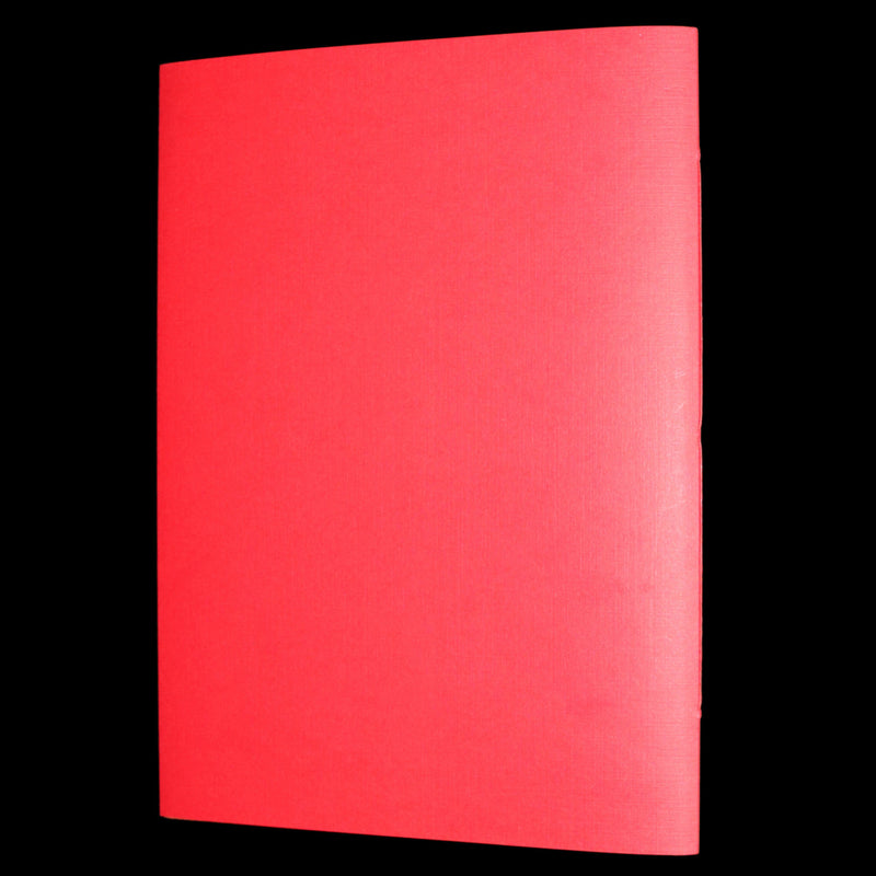 2013 Rare 1stED - An Unexpected Gift, A Christmas Tale by Charles van Sandwyk