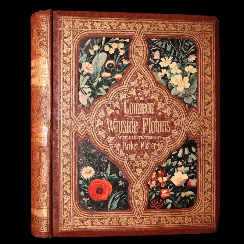 1860 First Edition - Common Wayside Flowers Illustrated by Myles Birket Foster