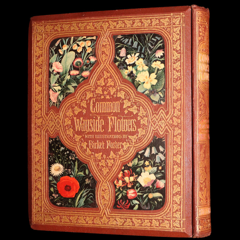 1860 First Edition - Common Wayside Flowers Illustrated by Myles Birket Foster
