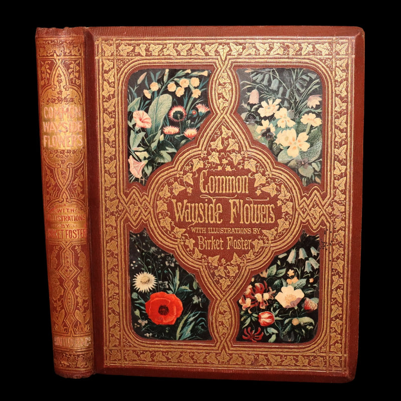 1860 First Edition - Common Wayside Flowers Illustrated by Myles Birket Foster