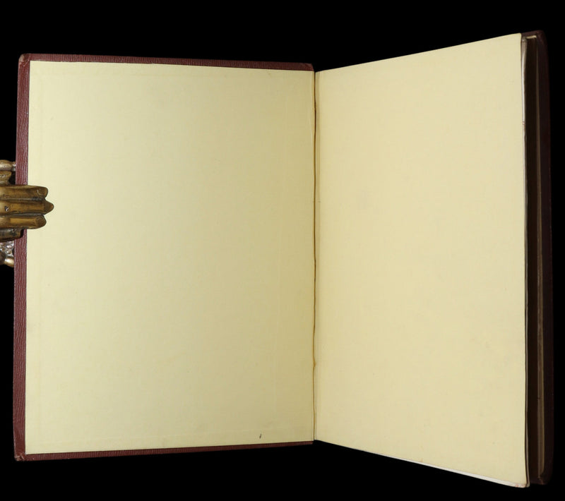 1860 First Edition - Common Wayside Flowers Illustrated by Myles Birket Foster