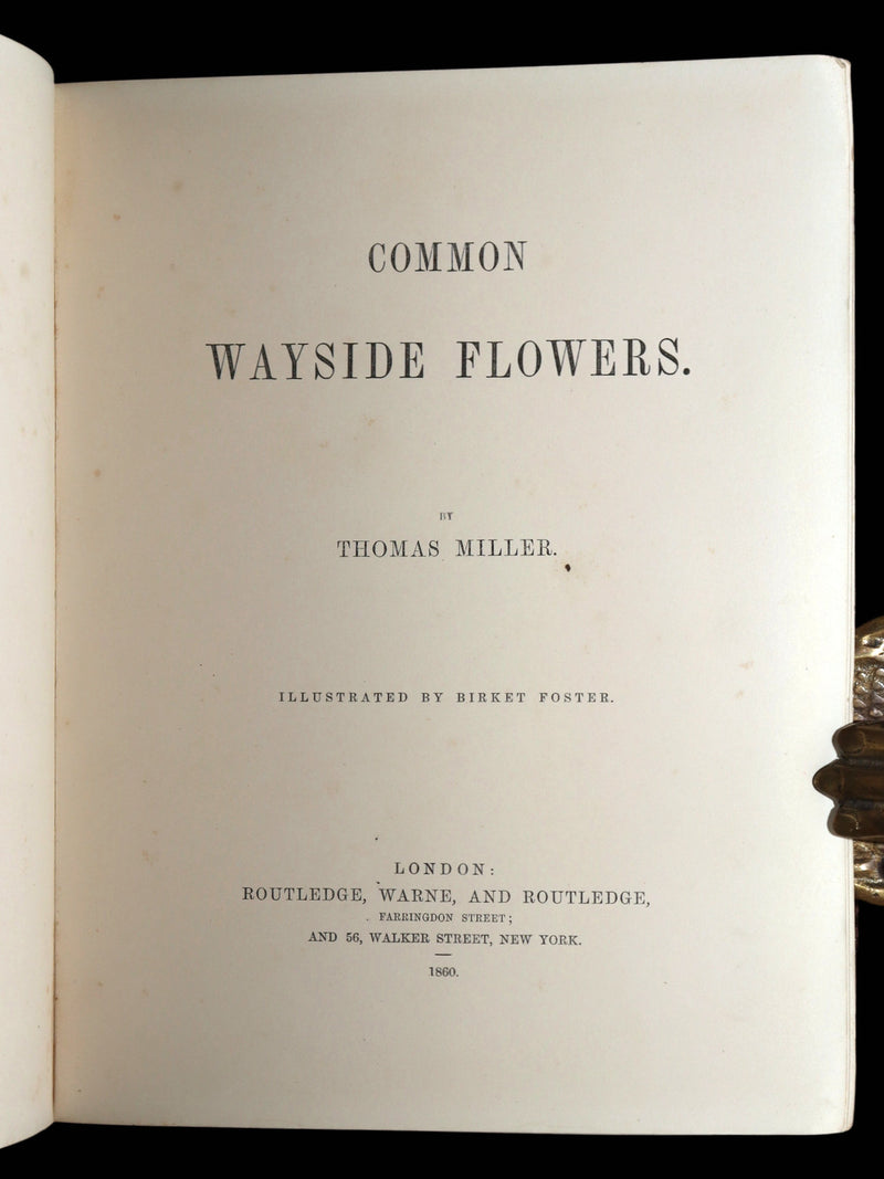1860 First Edition - Common Wayside Flowers Illustrated by Myles Birket Foster