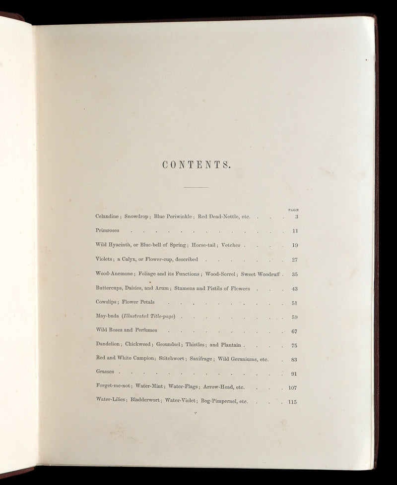 1860 First Edition - Common Wayside Flowers Illustrated by Myles Birket Foster