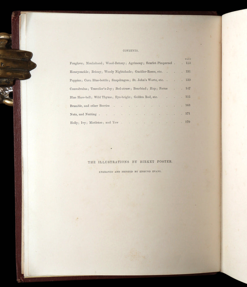 1860 First Edition - Common Wayside Flowers Illustrated by Myles Birket Foster