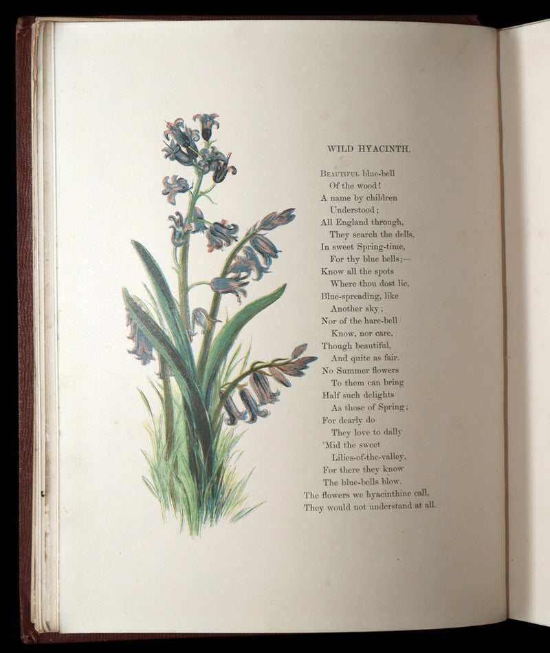 1860 First Edition - Common Wayside Flowers Illustrated by Myles Birket Foster