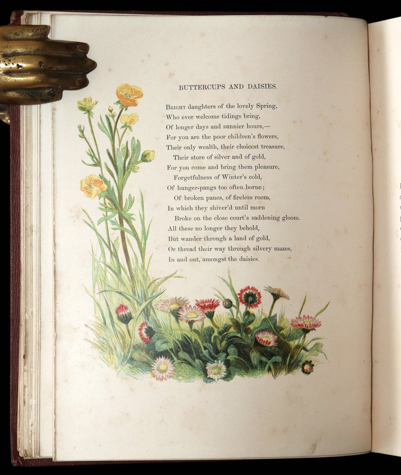 1860 First Edition - Common Wayside Flowers Illustrated by Myles Birket Foster