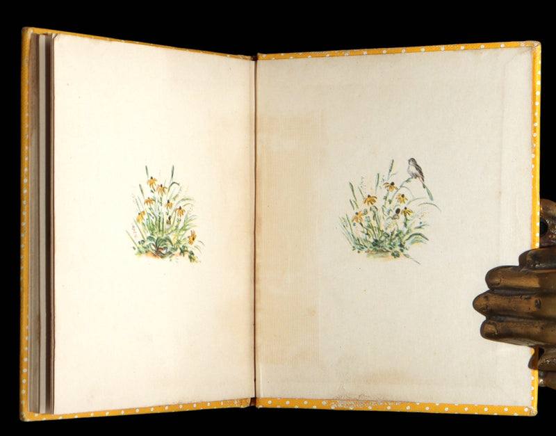 1942 First Edition with Dust Jacket - Dorcas Porkus Illustrated by Tasha Tudor