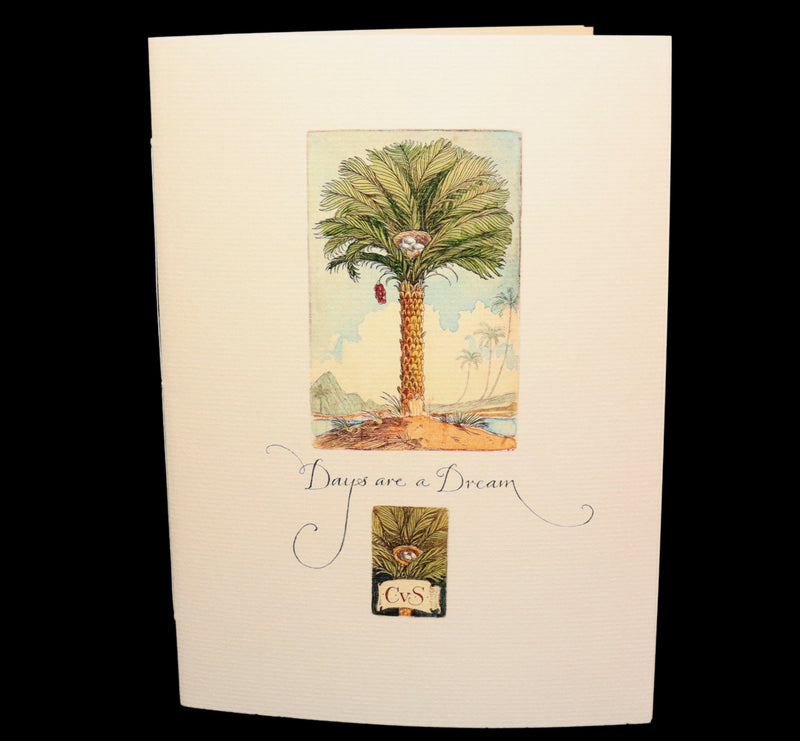 2019 First Limited 11th of 30 Copies - Days Are a Dream by Charles van Sandwyk