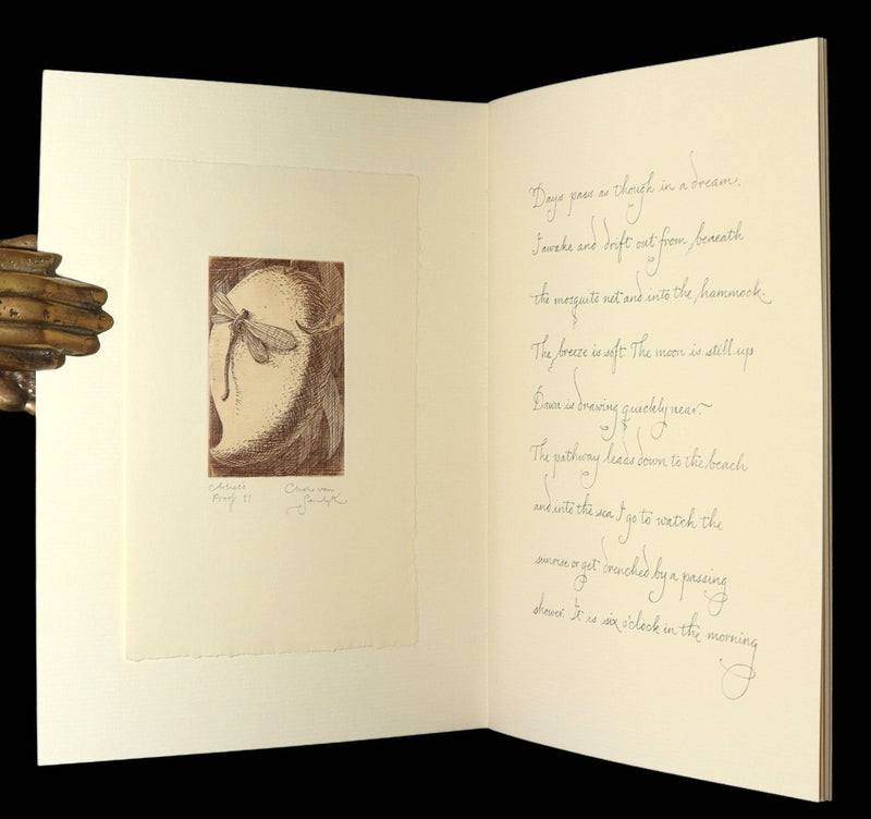 2019 First Limited 11th of 30 Copies - Days Are a Dream by Charles van Sandwyk