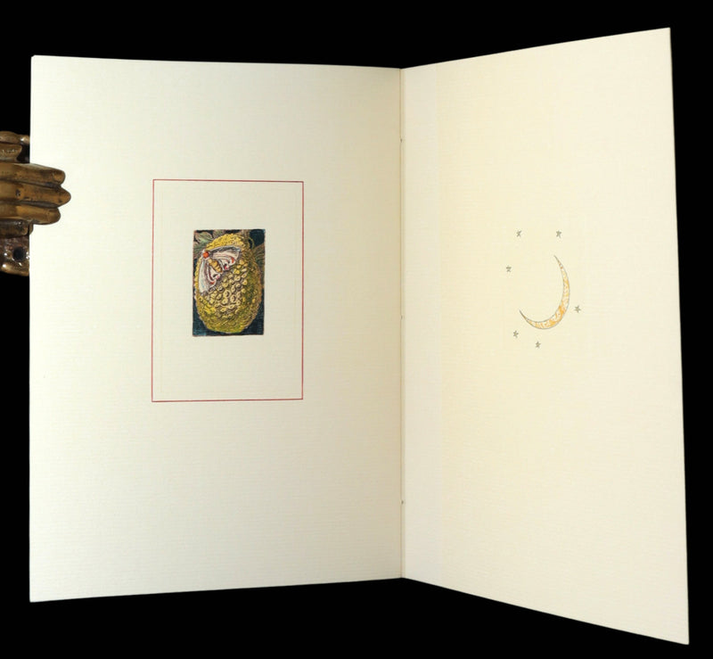 2019 First Limited 11th of 30 Copies - Days Are a Dream by Charles van Sandwyk