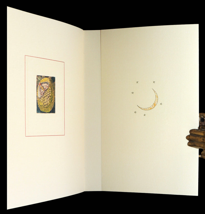 2019 First Limited 11th of 30 Copies - Days Are a Dream by Charles van Sandwyk
