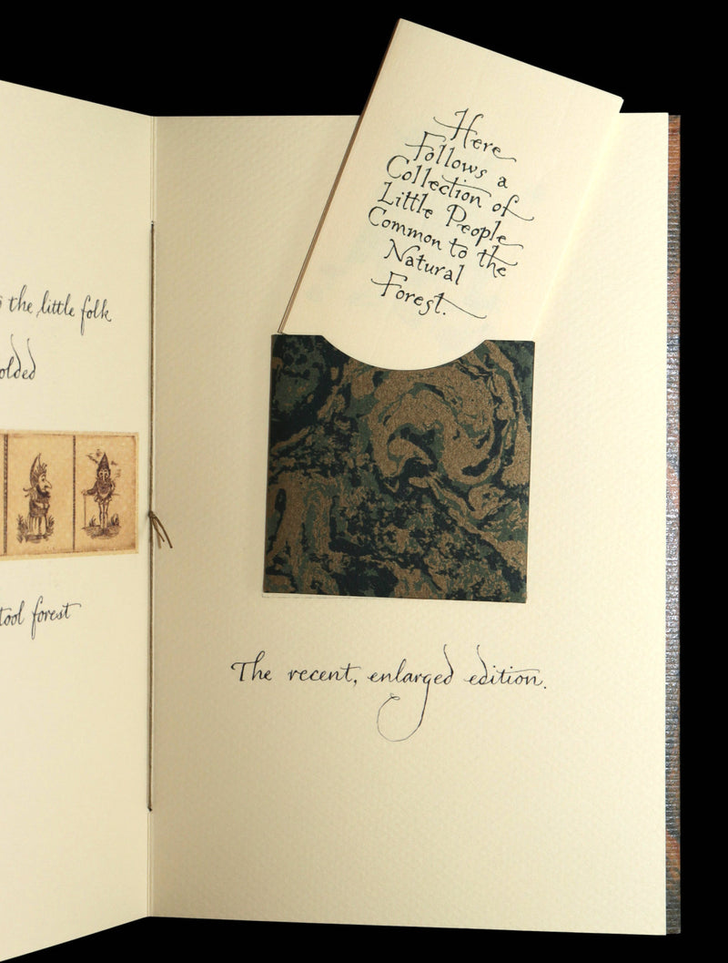 2018 - Collection of Little People Common to the Forest Signed by C. van Sandwyk